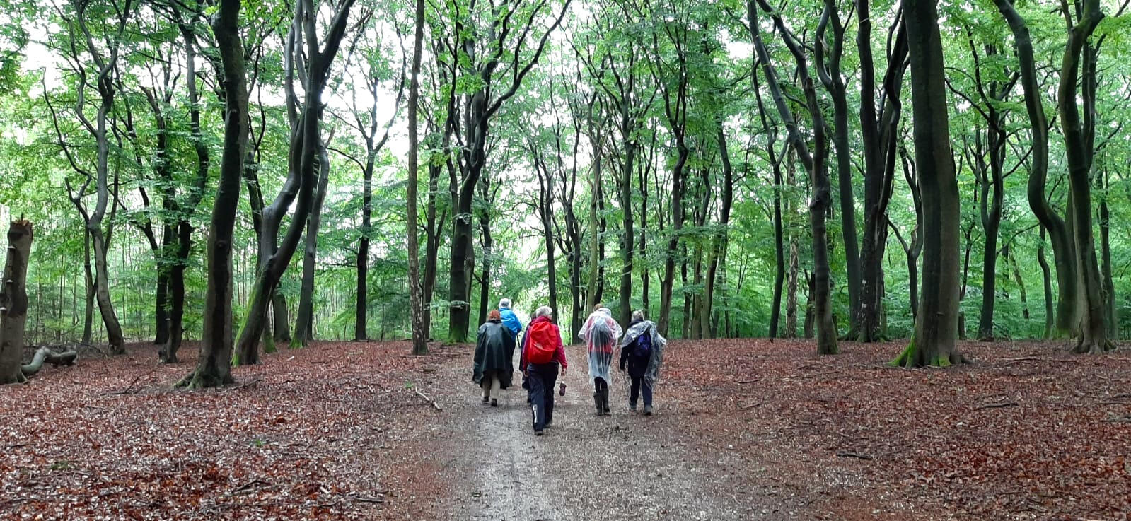 Samen lopen in stilte en aandacht